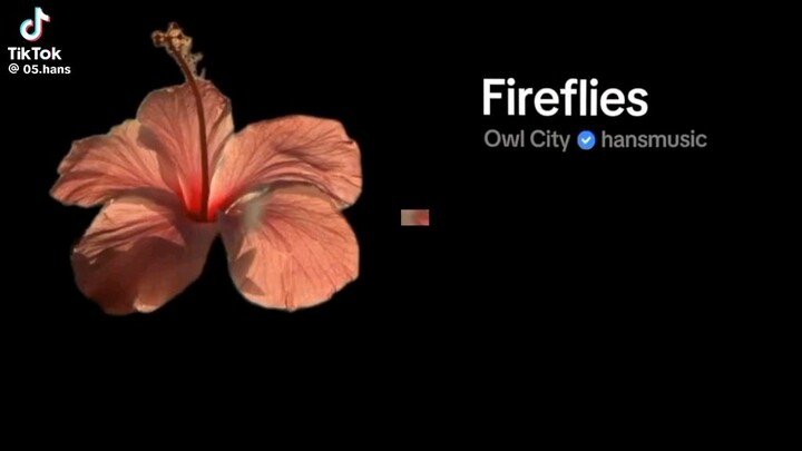 fireflies Music song #highithviralvidoe