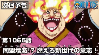 ONE PIECE 1065話予告「同盟壊滅!? 燃えろ新世代の意志！」