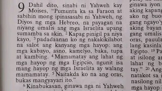 Pang Araw Araw na Talata.               Exodus 9:1-7