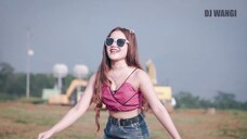 Dj Lungamu Ninggal Kenangan 2 - Delia Salsabila Official Music Video (0)