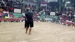 last fight champion