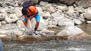 Cast Net Fishing in Nepal | Himalayan Trout Fishing in Nepal | Asala Fishing |