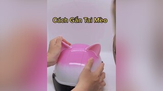 Cách Gắn Tai Mèo Đúng Cách decor tai mèo cute nónbảohiểm nonbaohiemcutecat mubaohiem stikcer dễthương