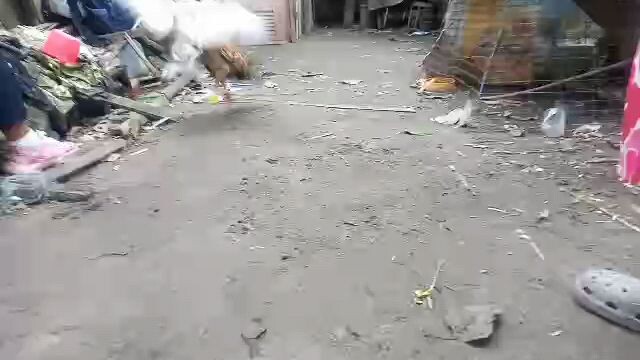 win kanan kahit malaki.kalaban wala sugat