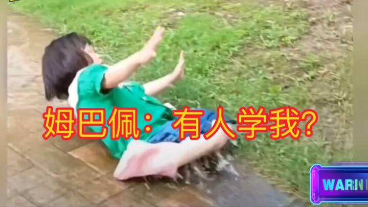 A roundup of adorable human babies' unlucky moments~