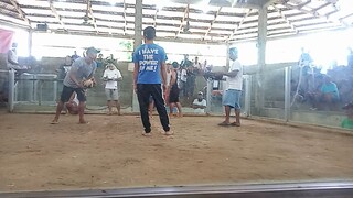 second fyt win