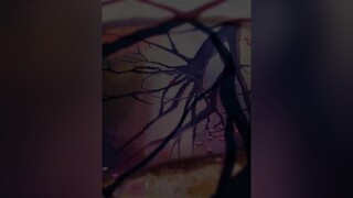 Hãy cảm nhận theo cách của bạn ! kuroikki anime
