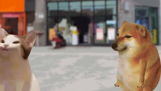 Saya bertekad untuk tidak manja saudara-saudara, apakah saya melakukan hal yang benar?