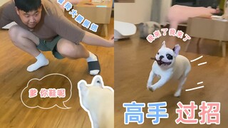 我觉得郭子最近逗狗逗的有点变态了......酱爆的精神状态也值得关注