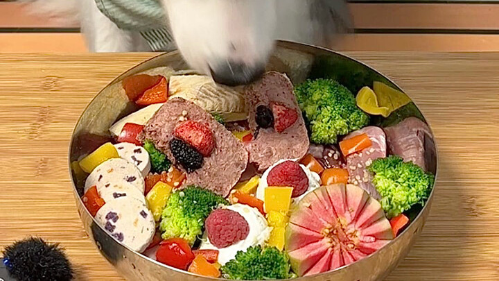 ماذا يأكل كلب الراعي الحدودي الذي يزن 20 كيلوغرامًا في وجبة واحدة؟ | كعكة سكّون بريشة لحم الأرنب وال