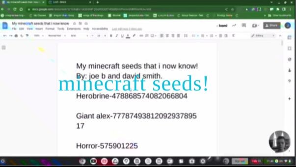 minecraft seeds i know