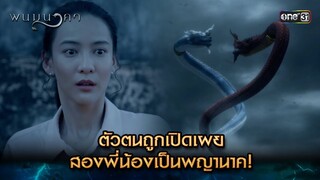 ตัวตนถูกเปิดเผย สองพี่น้องเป็นพญานาค! | Highlight พนมนาคา (รีรัน) Ep.09 | one31 | 2 ก.ค. 67