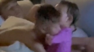 是每天睡觉会先和四个哥哥说晚安的宝宝……