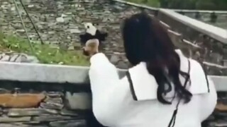 هل أنت هنا لرؤية الحيوانات؟ هل أنت هنا لزيارة أقاربك؟