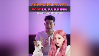 Chú chó bị bỏ rơi được Rose BlackPink đưa về nhà là dòng chó gì? tuitienpet dcgr pet learnontiktok