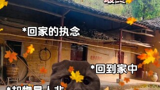 以前的穿越文VS现在的穿越文.