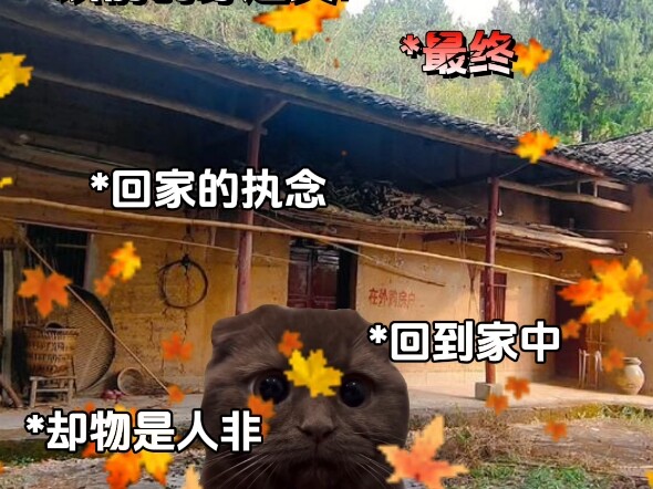以前的穿越文VS现在的穿越文.