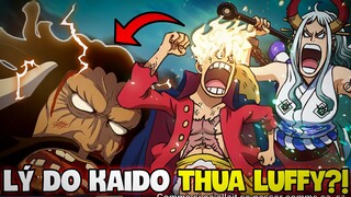 NHỜ YAMATO VÀ TRÁI NIKA?! | 10 LÝ DO LUFFY ĐÁNH THẮNG TỨ HOÀNG KAIDO