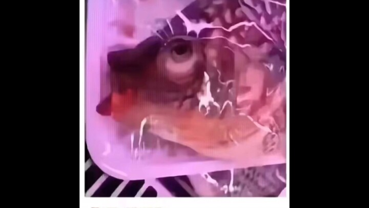 A Ton of Awesome Pics | Episode 31