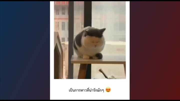 น้อนนนนน 💗