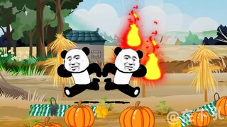 When I was young, the fortune teller said that my second uncle’s five elements could suppress fire. 