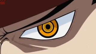 Nhân vật bí ẩn Pandaman_! _ Những Chi Tiết Thú Vị Mà Bạn Đã Bỏ Qua Trong One Piece p6
