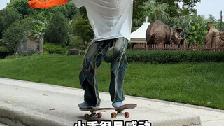 我的机器人女友🤖今天让她陪我滑板，看看她有没有那么智能！