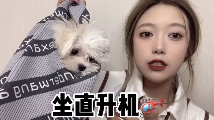 Spent 3k to take Dogdan on a helicopter ride, hahahahahahaha