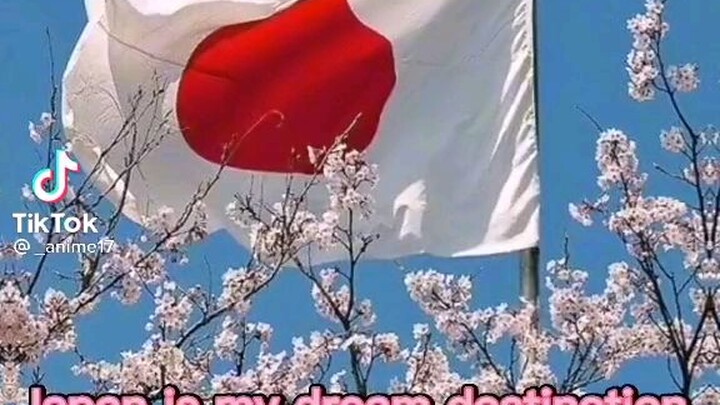 i want go to japan