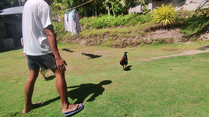 pang tupada lang po hehe