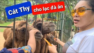 DIVA Cát Thy cùng Cha Rồng quậy tưng bừng Thảo Cầm viên