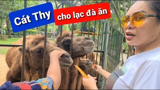 DIVA Cát Thy cùng Cha Rồng quậy tưng bừng Thảo Cầm viên