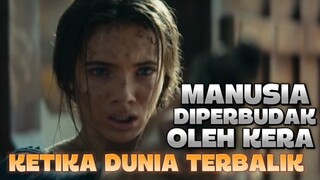 Ketika Dunia Kembali Seperti Zaman Dulu‼️ Manusia Diperbudak oleh Kera