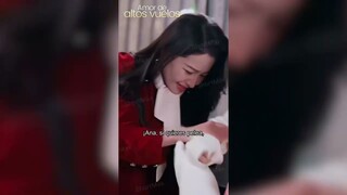 Amor de altos vuelos