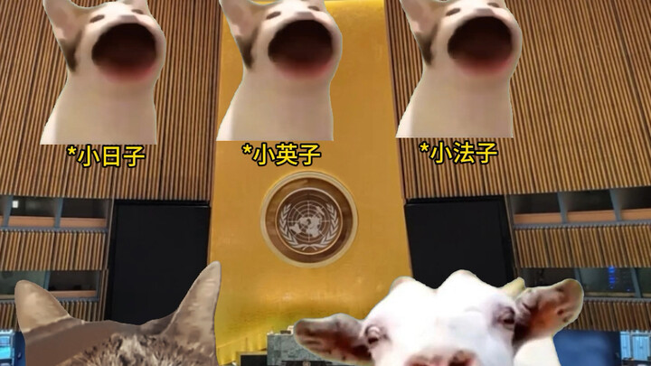 兔子的顶级阳谋