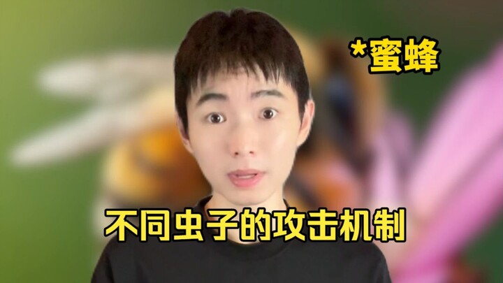 Cơ chế tấn công của các loài côn trùng khác nhau