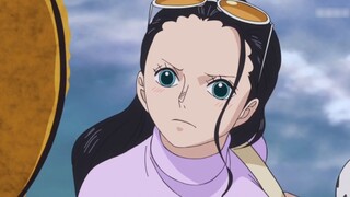 [ONE PIECE] Kasih Sayang Nico Robin untuk Hewan Peliharaan