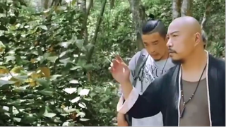 Lòng tham không đáy và sự trả thù của loài Xà Vương... P3 #reviewphimhay