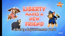 Paw patrol Musim 9 Episode 1 Bahasa Indonesia
