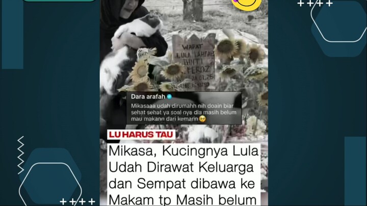 MIKASA BELUM MAU MAKAN GUYS, DOAIN YAA PASTI DIA KANGEN KAKAK LULA 🥺