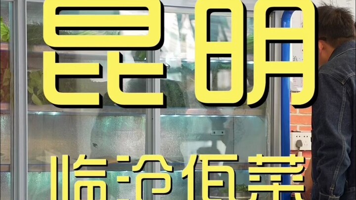 Kunming. Restoran Masakan Wa di Lincang – Kunjungan Koki dengan Harga ¥359