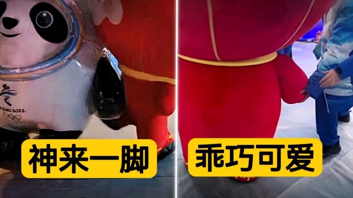 Wow, Shuey Rhon Rhon is completely different in front of Bing Dwen Dwen compared to when he's around