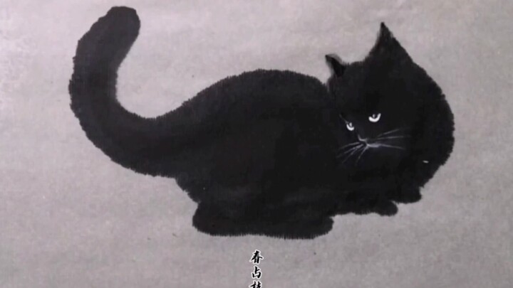 Kupu-kupu bermain dengan kucing, Anda bisa melihatnya sekilas.