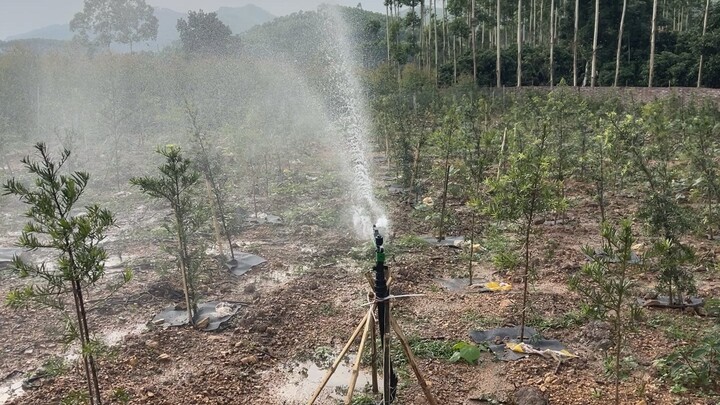 Water sprinkler