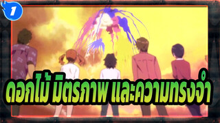 ดอกไม้ มิตรภาพ และความทรงจำ|_1