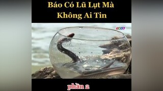 nguyễntấntrọng reviewphim phimhaymoinhat tantrongradio phimhaymoingay ntt_62l1 cotichvietnam cuuvatvattraon