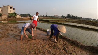 Hưng Troll _ Hai Anh Em Thử Nhuộm Tóc Đỏ Xem Phản Ứng Của Mẹ Bà Tân Vlog Và Cái Kết