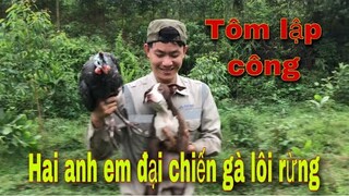 PitBull Tôm Lập Công| Săn Gà Lôi Rừng| Săn Bắt Ẩm Thực Vùng Cao