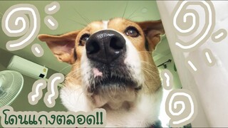 โลกของแสนดี ตอน เปิดเผยมุมลับ หาดูยาก!