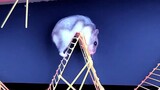 [Động vật] Thử đạo nan bản qua cầu rút ván | Hamster đào thoát